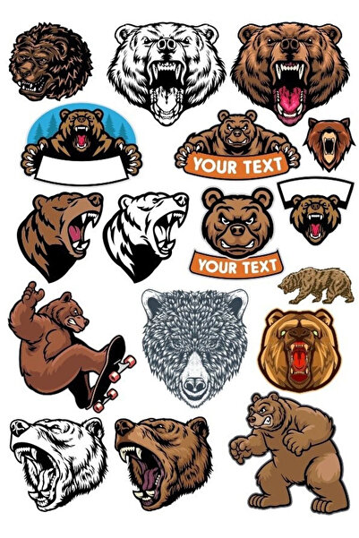 Reysa Tasarım مجموعة ملصقات الدب - 17 مكونة من 13 قطعة للهاتف والكمبيوتر اللو...