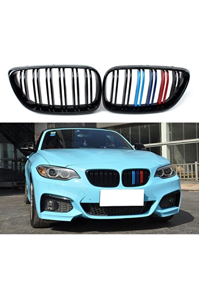 autogp Bmw F22 ön böbrek panjur m şerit renkli 2014+ 2 serisi