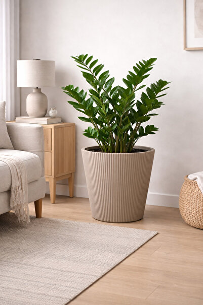 Alezy Luna Model İç Drenaj Hazneli Modern Plastik Saksı 29 lt (36.8cmx36.4cm)...