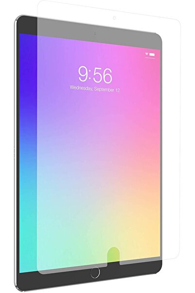 Fuchsia Apple iPad 9.7 " 5. ve 6. Nesil Blue Nano Ekran Koruma