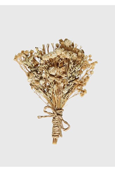 Ramsey Beige Collar Accessory