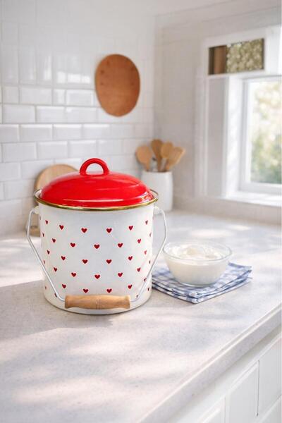 Akkoyunlu home Red Heart Enamel Bakraç Yogurt Fermentation Container with Lid...