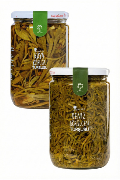 Havaza Muhteşem İkili Deniz Börülcesi, Kaya Koruğu 720 Gr.