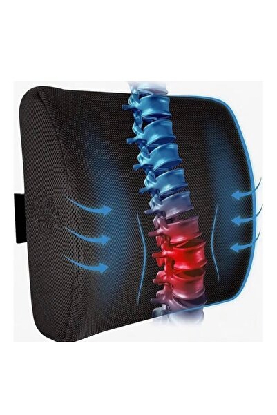 Lexaly Memory foam back cushion - for lower back support and sitting comfort