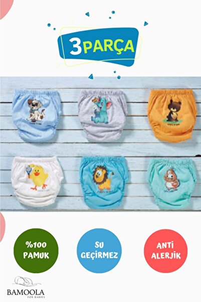 Bamoola 3 Adet Lüx Erkek (1 -2 YAŞ) Çocuk Alıştırma Külodu Sızdırmaz (RENK VE...