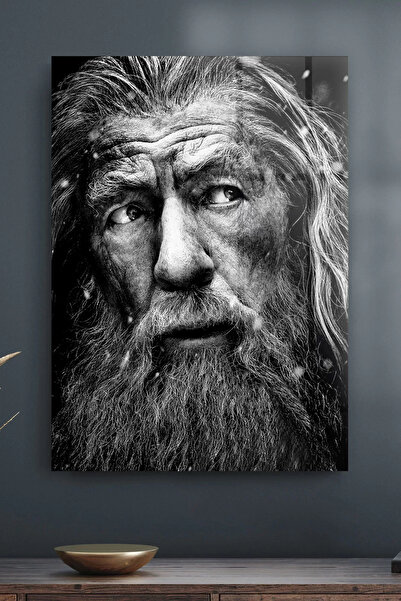 Decovetro Tablou din sticlă Negru Alb Gandalf