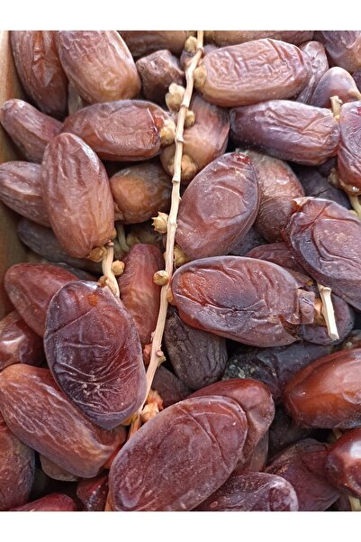 OZTUGBA Tunus Hurması 1000gr