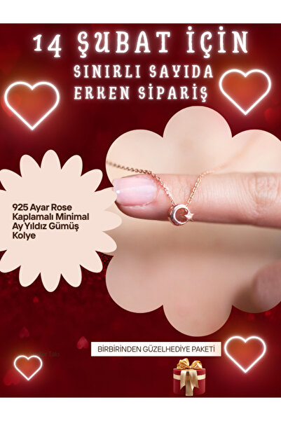 SUNSHINE 925 Ayar Rose Kaplamalı Minimal Ay Yıldız Gümüş Kolye