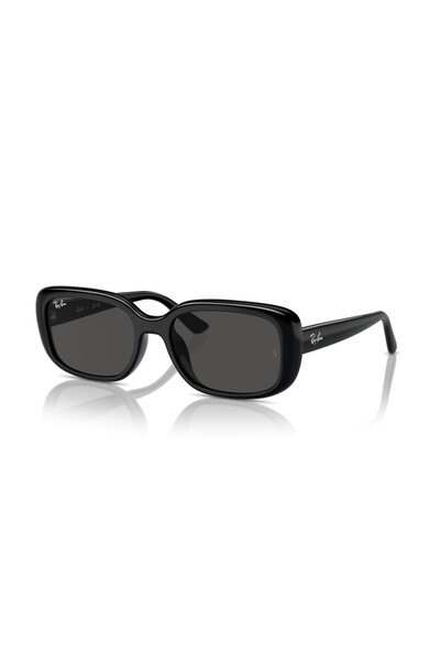 Ray-Ban Sunglasses Rb4421D 56 667787