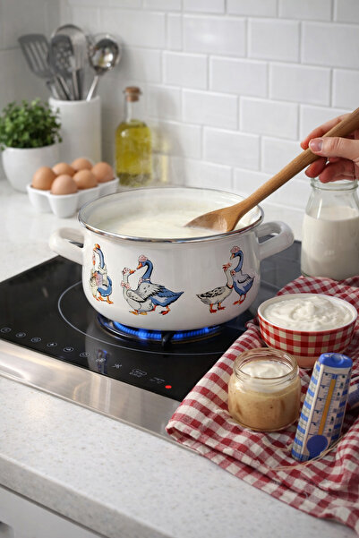 EBRULİEMAYE قدر طهي من العائلة الكازاخستانية مطلي بالمينا سعة 3 لتر بقطر 20 س...