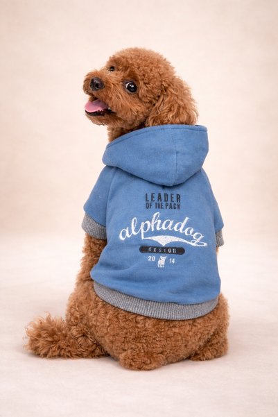 Alphadog Design Leader Blue Köpek Kıyafeti Sweatshirt