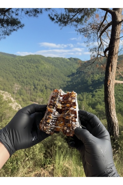 Balkovan Doğal Siyah Pergalı Petek Bal 1500gr. + Doğal Yayla Çam Balı 450gr.