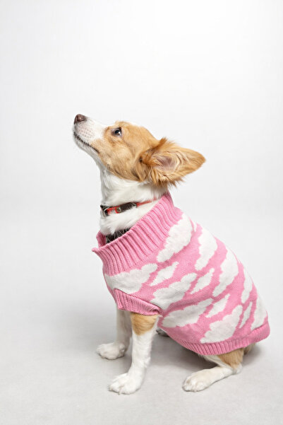 Alphadog Design Heaven Pink Bulut Desenli Kedi / Köpek Kıyafeti Triko Kazak