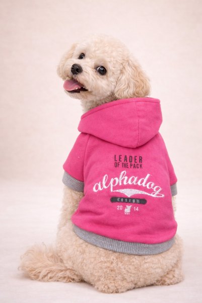 Alphadog Design Leader Pink Köpek Kıyafeti Sweatshirt