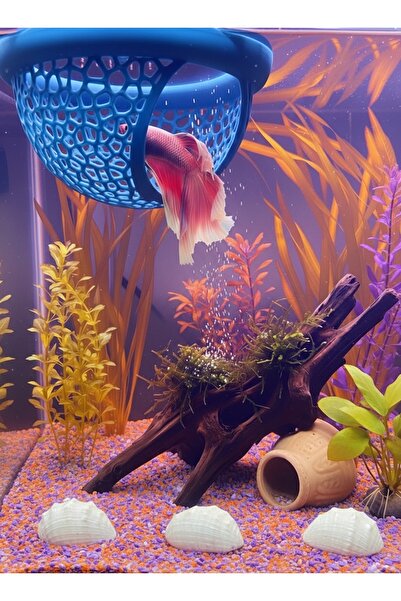 Akvaryum Beta Dinlenme Alanı Beta Yuvası Balık Yavrulugu Balık Yuvası MDizmir...