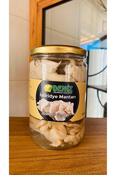 DENİZ İstiridye mantarı