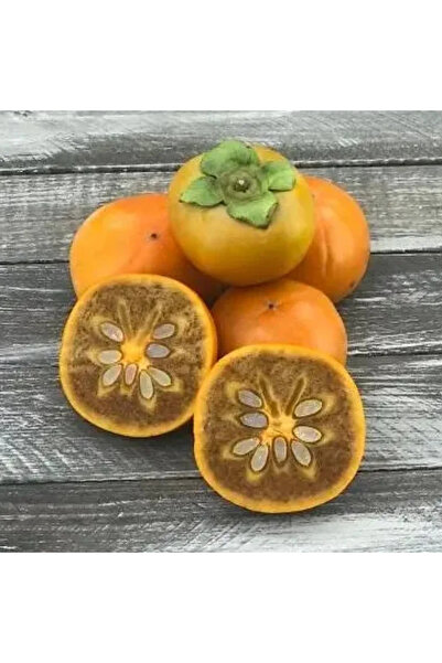 FidanVadisi Çikolatalı Hachiya Trabzon Hurması Fidanı (2 Yaşında 80-100 cm)