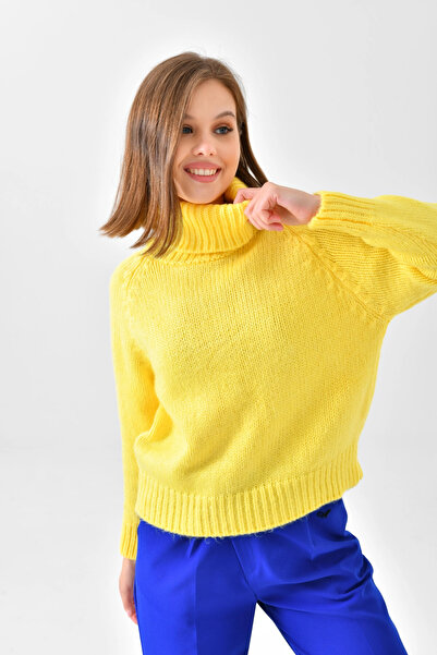 Park Karon Women's Turtleneck Ribbed Knit Knitwear Sweater 223006