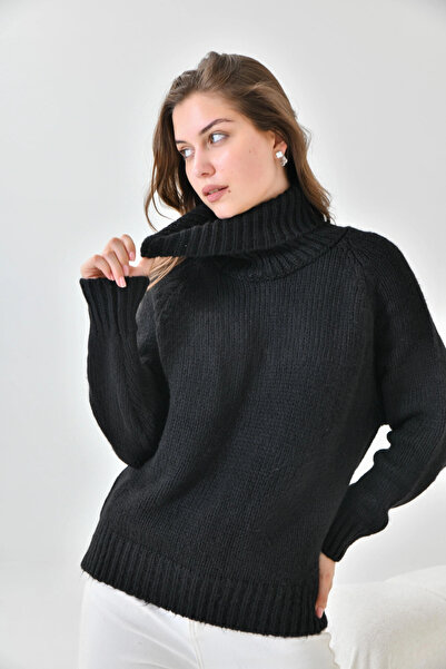 Park Karon Women's Turtleneck Ribbed Knit Knitwear Sweater 223006