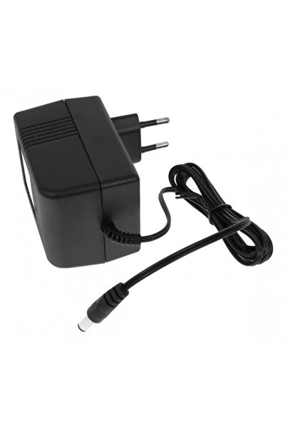 OEM Electric car charger 12V, current 1000MA