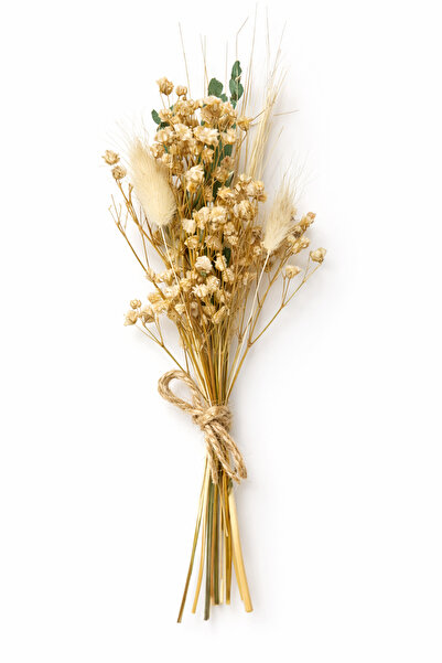 nijiartdesign Glass Tube Vase, Carefully Crafted Dried Flower Compatible with...