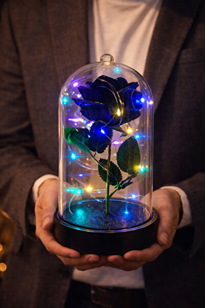 CHANCE GİFT LED Işıklı Cam Fanus Siyah Gül Sevgiliye Özel Romantik Hediye