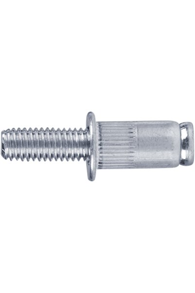 FORTUM Set de 50 de nituri din oțel, M5x10mm, FORTUM, 477067