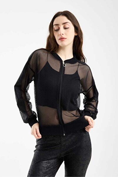 BY PAPI File Spor Mont