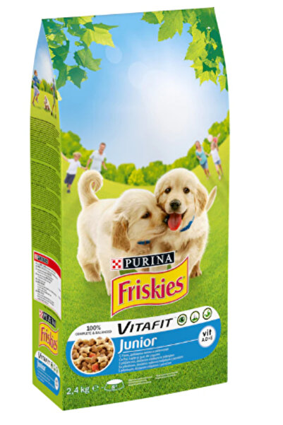 Friskies Ξηρά τροφή για σκύλους για παιδιά, κοτόπουλο & λαχανικά, 2,4 κιλά