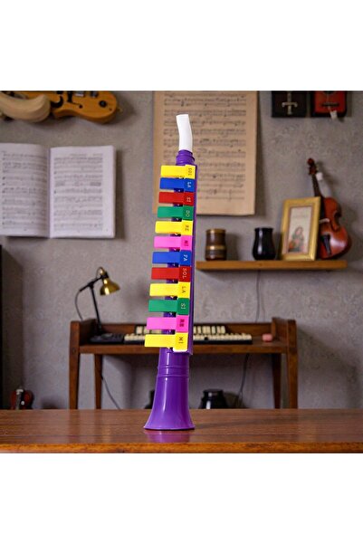 Kuzey Tacı Plastik Melodika – Renkli Tuşlu Çocuk Melodika Enstrümanı | Nefesl...