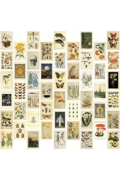 Choice مجموعة بطاقات عتيقة مكونة من 50 قطعة، بطاقات نباتية عتيقة الطراز، بنمط...