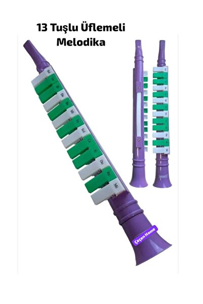 ÇEÇEN HOME Plastik 13 Tuşlu Üflemeli Melodika Tutmalı Tuşlu Flüt Melodika 42cm