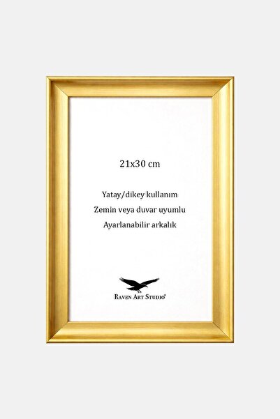 Raven Art Studio Pyramid A4-21X30Cm Gold Picture Photo Document Poster Docume...