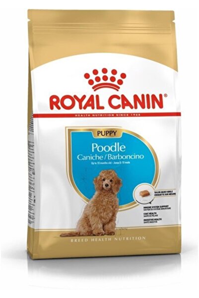 Royal Canin Puppy Poodle Caniche Yavru Köpek Maması 3kg -TY5611748