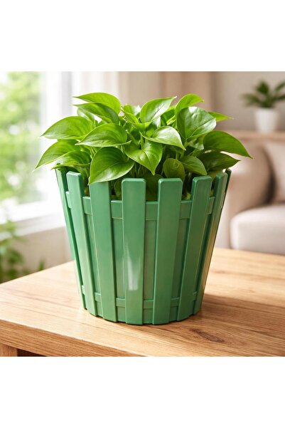 polivahome Akasya Pastel Saksı 1 Litre 14 cm Plastik Drenaj Izgaralı Çiçek Sa...