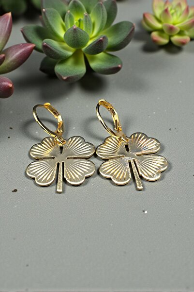 NBS Beautiful Naturel Stones Yonca Çelik Küpe