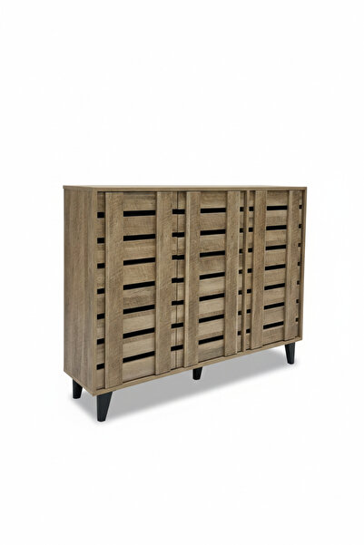 Generic Modern 3-Door Shoe Cabinet - Ultimate Storage & Organization