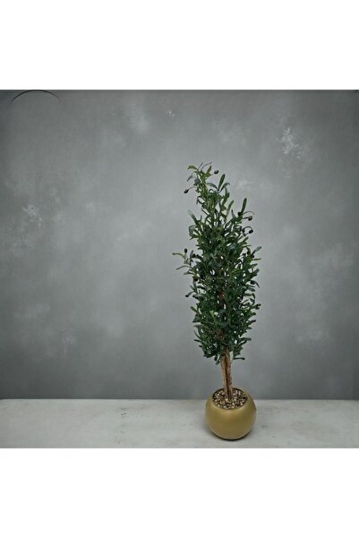 DEC5 A royal ornamental tree, 170 cm tall, with a luxurious and distinctive d...