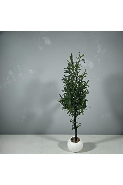DEC5 Ornamental trees with a touch of green that last forever, 140cm tall