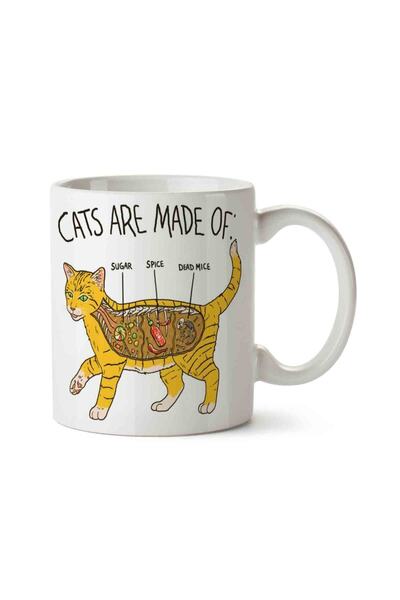 MAĞAZA DEPOM Kedi Anatomi Cat Anatomy Porselen Kupa Bardak