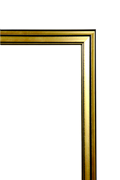 AS TİCARET Fotoğraf, evrak ve puzzle Çerçevesi 30 mm 35X50cm 20p altın