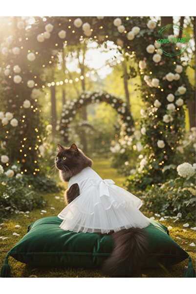 Gobo Kedi Köpek için Şık Tasarım Gelinlik & Doğum Günü Abiyesi Parti Kıyafeti Elbisesi Large/L/Beden 3
