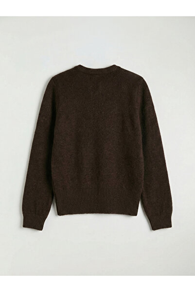 LC Waikiki Mg Trenden Brown Crew Neck Women's Knitwear Cardigan