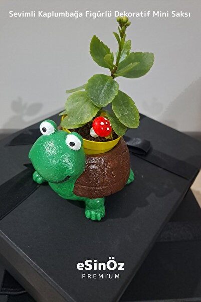 EsinÖz #Saksı Sevimli Kaplumbağa Figürlü Dekoratif Mini Saksı
