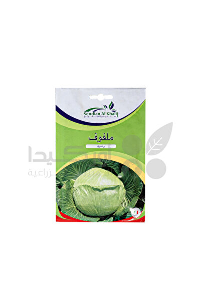 Orkida بذور كرنب برونزويك 12 غرام