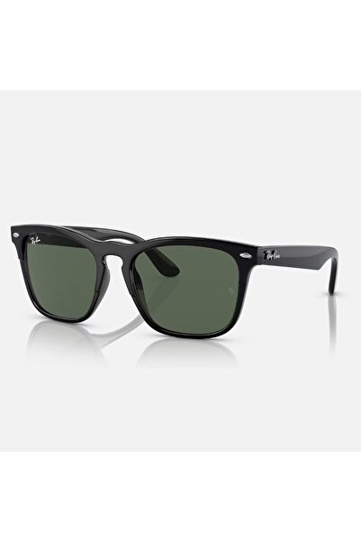 Ray-Ban Steve Rb4487 662971