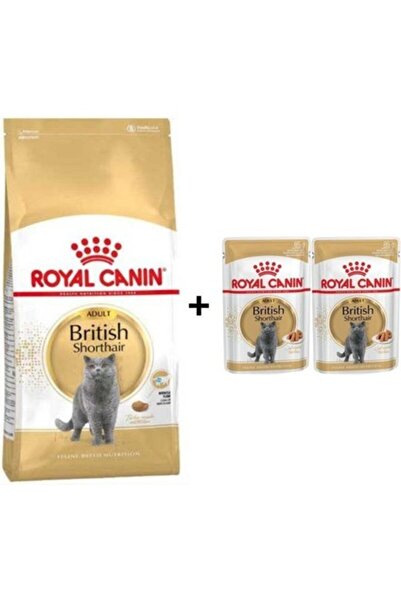 Royal Canin British Shorthair Yetişkin Kedi Maması 4 kg + 2 Adet Yaş Mama Hediye -TY5610312
