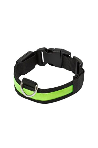 Petzz Lighted Adjustable Flashing Cat and Dog Collar Green 40-48 cm / 2.5 cm