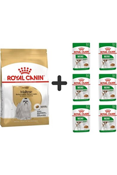 Royal Canin Maltese Bichon Yetişkin Köpek Maması 1,5 kg + 6 Adet Yaş Mama -TY...