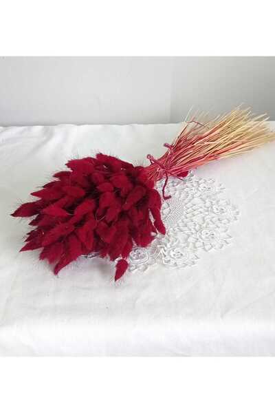 Birlik Pamuk Otu Lagurus Kuru Çiçek Bordo